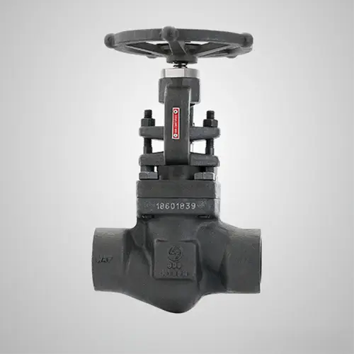 Globomar Valvulas de Aço Forjado 3