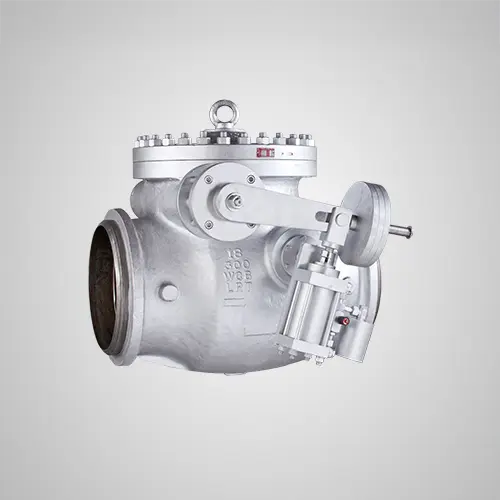 Globomar - Válvulas de Retenção bolted-bonnet-with-hydraulic-damper-18-300