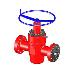 FLS gate valve